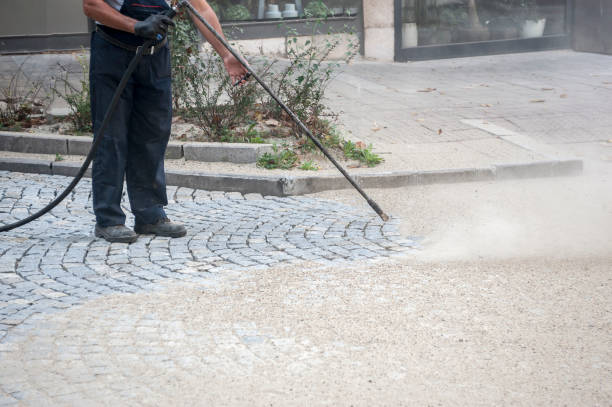 Best Roof Washing  in Cortland, OH