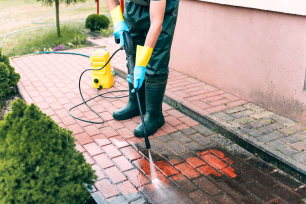 Trusted Cortland, OH Pressure Washing Services Experts